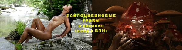прущая мука Инсар