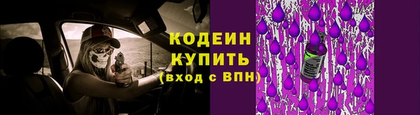 прущая мука Инсар