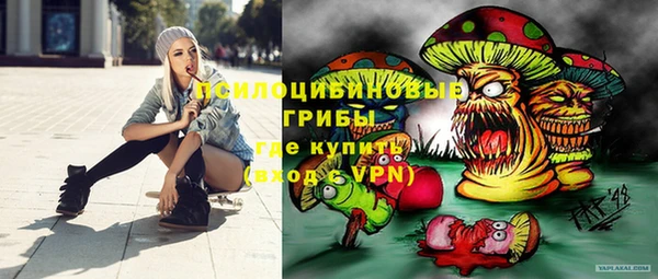мяу мяу мука Инта